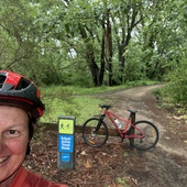 User avatar for Sheridan Daniels