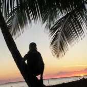 User avatar for Diego Palè