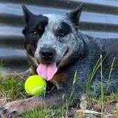 User avatar for Ben Shue