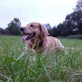 User avatar for Anita Hemmersbach