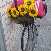 User avatar for Giulia C.