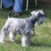 User avatar for Robert Harding