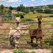 User avatar for Alan Johnson