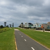 User avatar for Gilberto Amarista