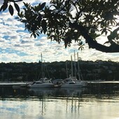 User avatar for Craig Middleton