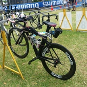 User avatar for Clarinda Campbell