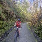 User avatar for Cara Reid-Allnatt