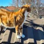 User avatar for Chris Brabant