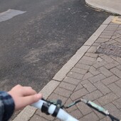 User avatar for Warren Willing