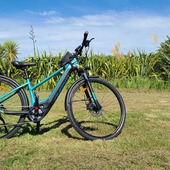 User avatar for Kirsty Brown