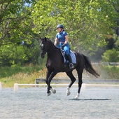 User avatar for Anneka Gerrie