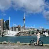 User avatar for Fre Dy