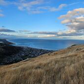 User avatar for Peter Cook