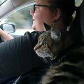 User avatar for Kate Chamberlin