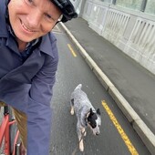 User avatar for Ashton Ireland