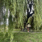 User avatar for Shaelah Youngman