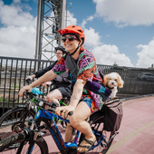 User avatar for Fiáin d'Leafy