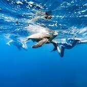 User avatar for Sarah Wraight