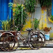 User avatar for Anna Seelye