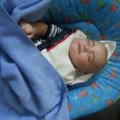 User avatar for Peter Gill