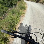 User avatar for Liz Rolph