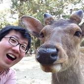 User avatar for Joseph Lim