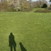 User avatar for Vienna B