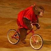 User avatar for Brent Mc Kinnon