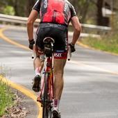 User avatar for Steve H