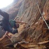 User avatar for Rene Provis