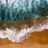 User avatar for Janniek Starren