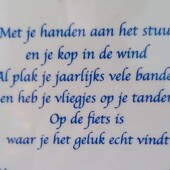 User avatar for Sietske de Jong