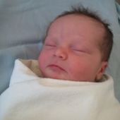 User avatar for Andy Maule