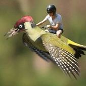 User avatar for Dan Churchill