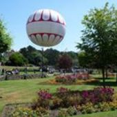 User avatar for Theresa Jane Mc Manus