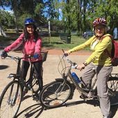 User avatar for Carole Dent