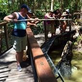 User avatar for Darren Whalen