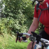 User avatar for Tracey Page