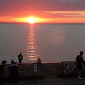 User avatar for Michael Thomson