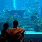 User avatar for Andrew Murphy