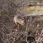 User avatar for Hui Teh