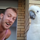 User avatar for Matt Sutton