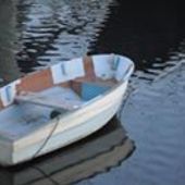 User avatar for Rosa Rosa Np