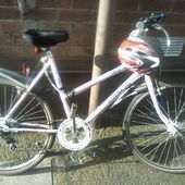 User avatar for Lynette Conlon