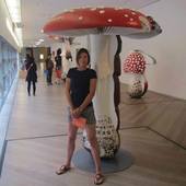 User avatar for Dominique Humbert