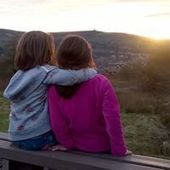 User avatar for Al Niemeyer