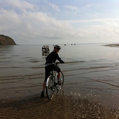 User avatar for Lisa Q