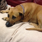 User avatar for Ben Griggs