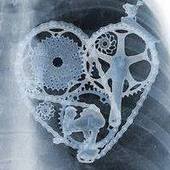 User avatar for Bernardica Stipić