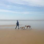 User avatar for Llaima Cárdenas